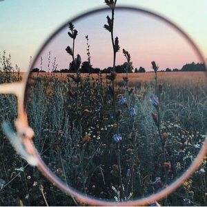 Meet your Posher, Sonja